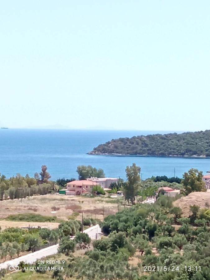 Villas Guest House Vathí Exteriér fotografie